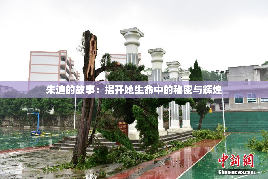 朱迪的故事：揭开她生命中的秘密与辉煌
