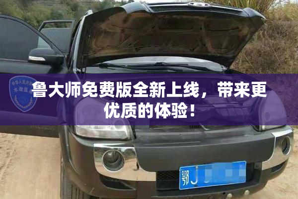 鲁大师免费版全新上线，带来更优质的体验！