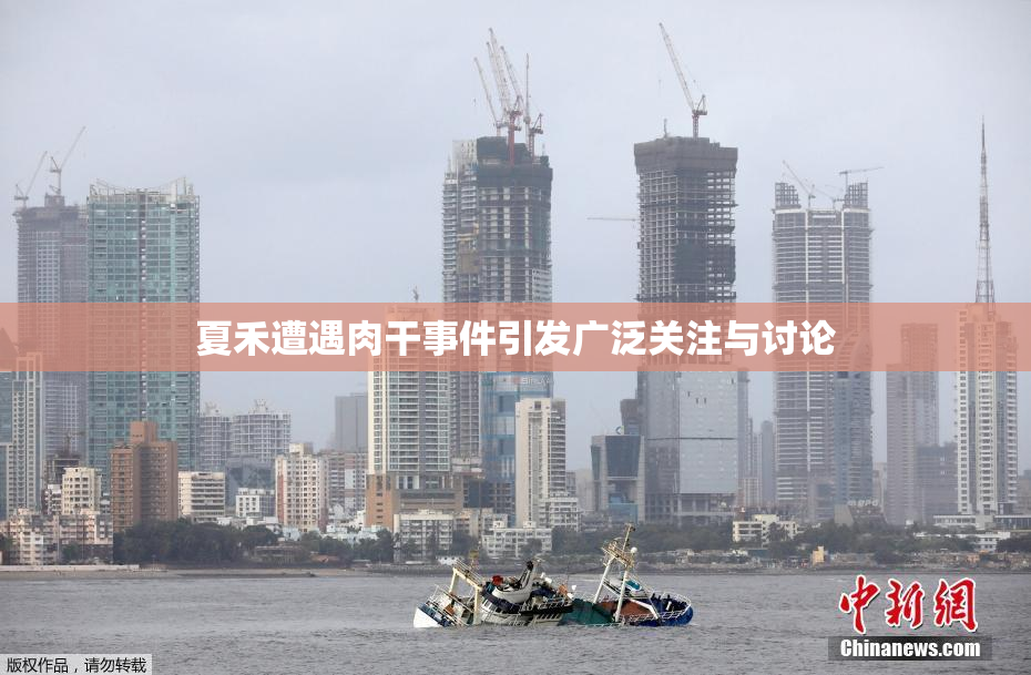 夏禾遭遇肉干事件引发广泛关注与讨论