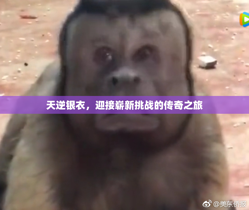 天逆银衣，迎接崭新挑战的传奇之旅