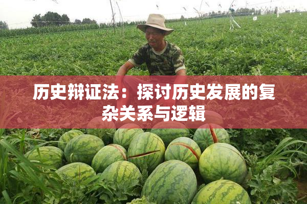 历史辩证法：探讨历史发展的复杂关系与逻辑