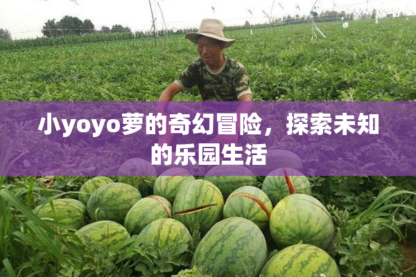 小yoyo萝的奇幻冒险，探索未知的乐园生活