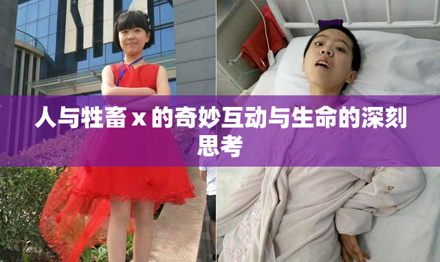 人与牲畜ⅹ的奇妙互动与生命的深刻思考