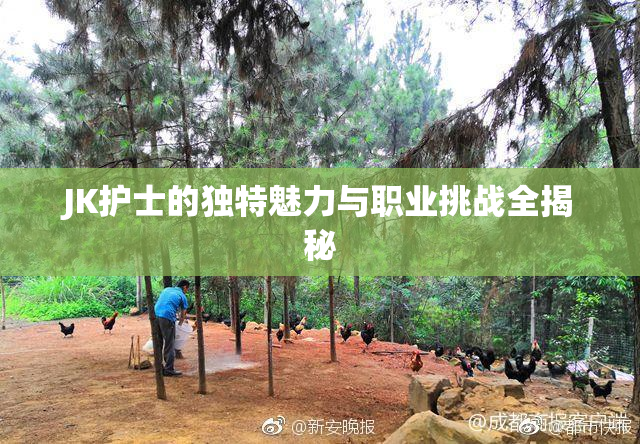JK护士的独特魅力与职业挑战全揭秘
