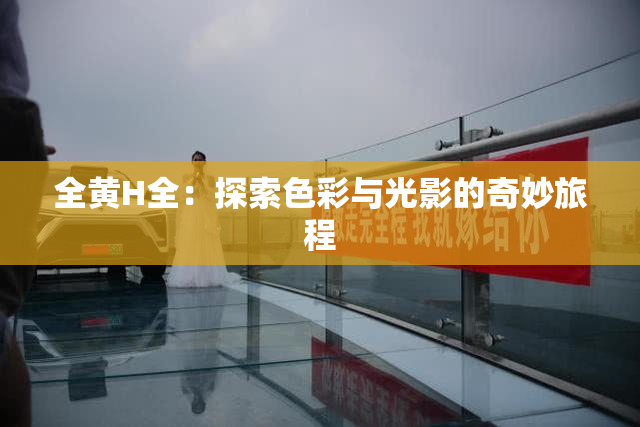 全黄H全：探索色彩与光影的奇妙旅程