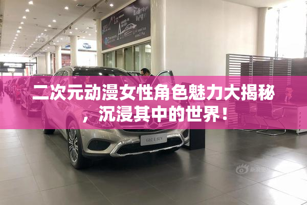 二次元动漫女性角色魅力大揭秘，沉浸其中的世界！