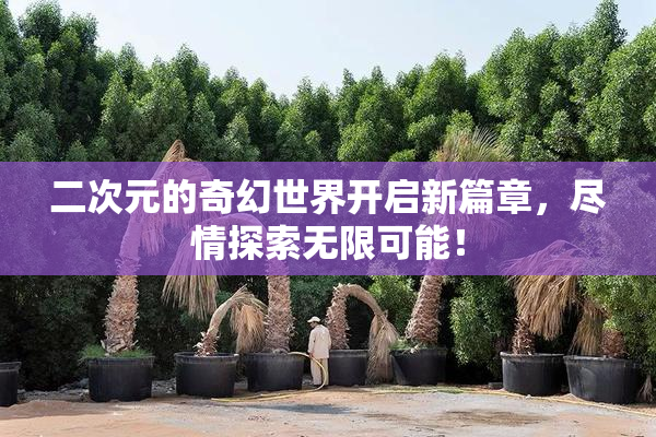 二次元的奇幻世界开启新篇章，尽情探索无限可能！