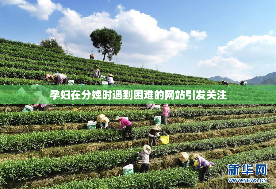 孕妇在分娩时遇到困难的网站引发关注