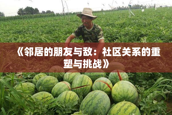 《邻居的朋友与敌：社区关系的重塑与挑战》