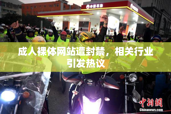 成人裸体网站遭封禁，相关行业引发热议