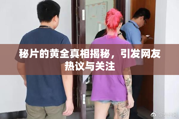 秘片的黄全真相揭秘，引发网友热议与关注