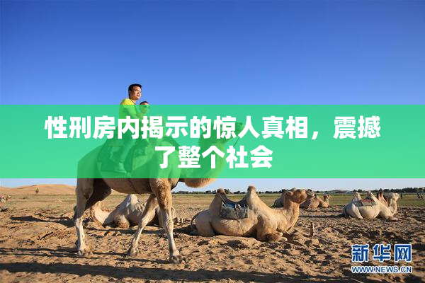 性刑房内揭示的惊人真相，震撼了整个社会