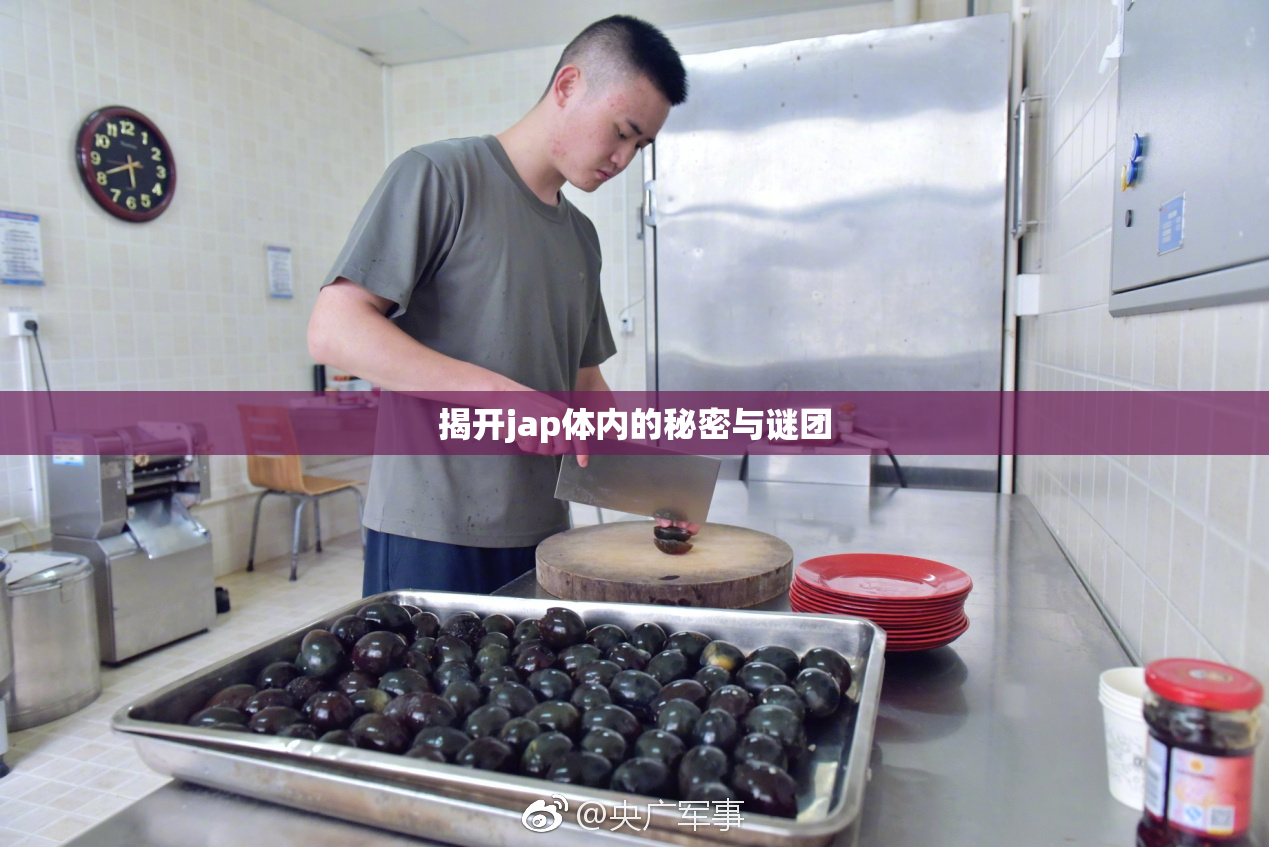 揭开jap体内的秘密与谜团