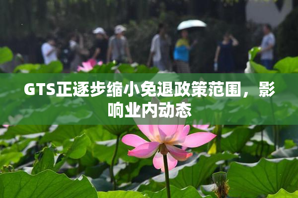 GTS正逐步缩小免退政策范围，影响业内动态