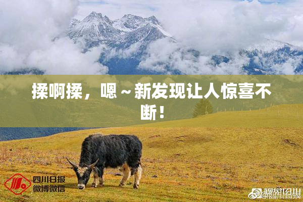 揉啊揉，嗯～新发现让人惊喜不断！