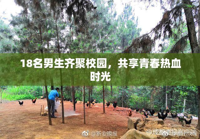 18名男生齐聚校园，共享青春热血时光