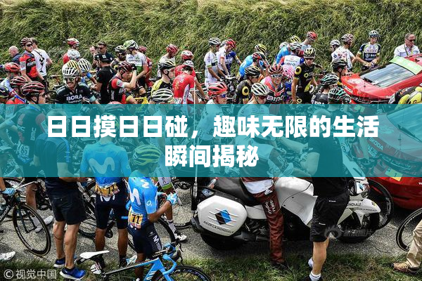 日日摸日日碰，趣味无限的生活瞬间揭秘