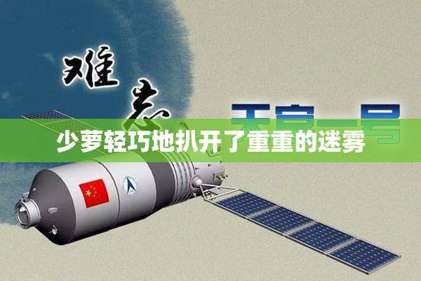 少萝轻巧地扒开了重重的迷雾