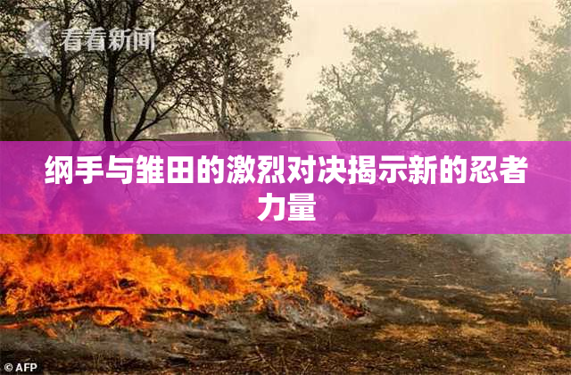 纲手与雏田的激烈对决揭示新的忍者力量