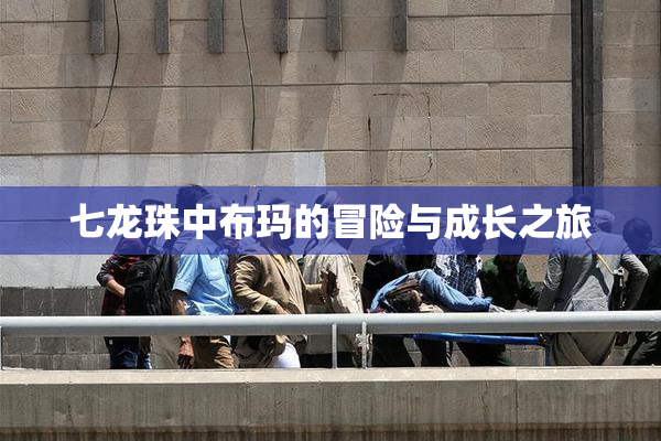 七龙珠中布玛的冒险与成长之旅