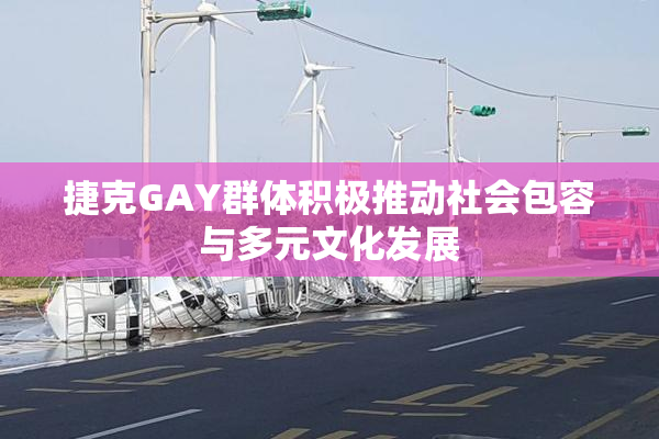 捷克GAY群体积极推动社会包容与多元文化发展
