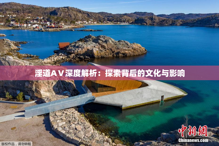 淫道AⅤ深度解析：探索背后的文化与影响