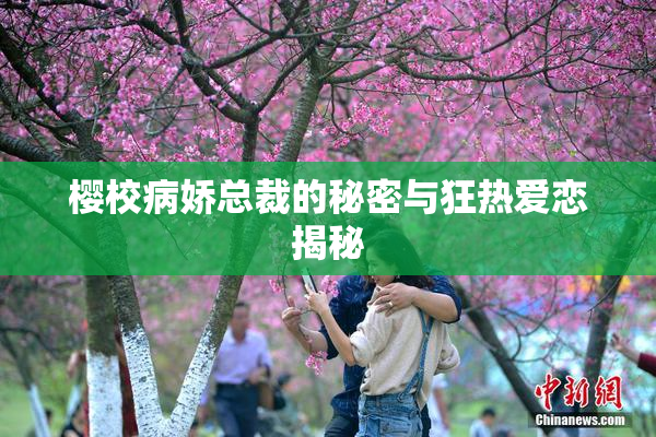 樱校病娇总裁的秘密与狂热爱恋揭秘