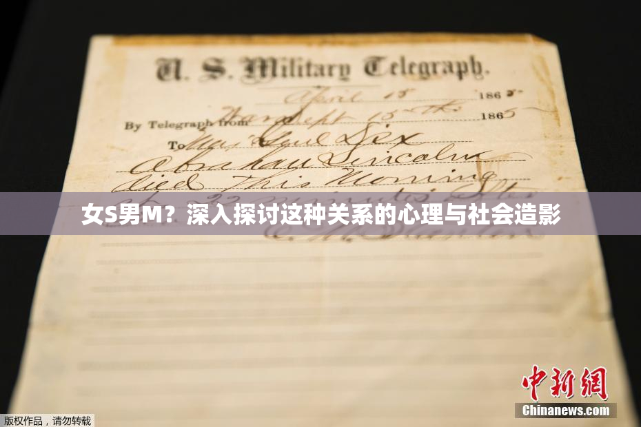 女S男M？深入探讨这种关系的心理与社会造影