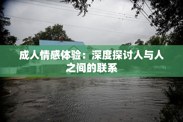 成人情感体验：深度探讨人与人之间的联系