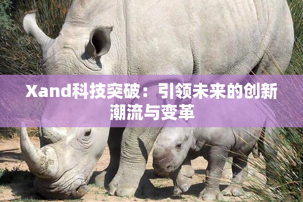 Xand科技突破：引领未来的创新潮流与变革