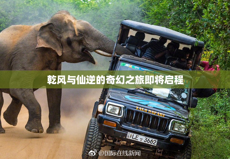 乾风与仙逆的奇幻之旅即将启程