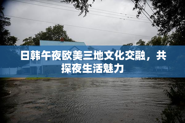 日韩午夜欧美三地文化交融，共探夜生活魅力