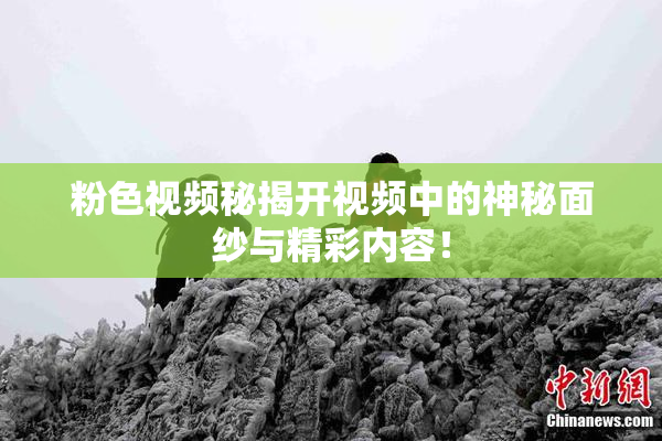 粉色视频秘揭开视频中的神秘面纱与精彩内容！