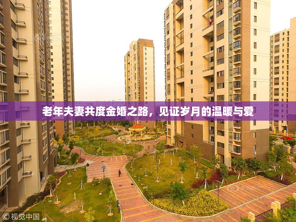 老年夫妻共度金婚之路，见证岁月的温暖与爱