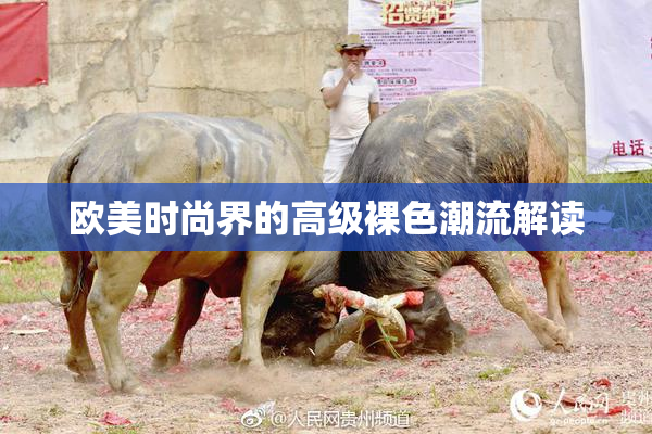 欧美时尚界的高级裸色潮流解读