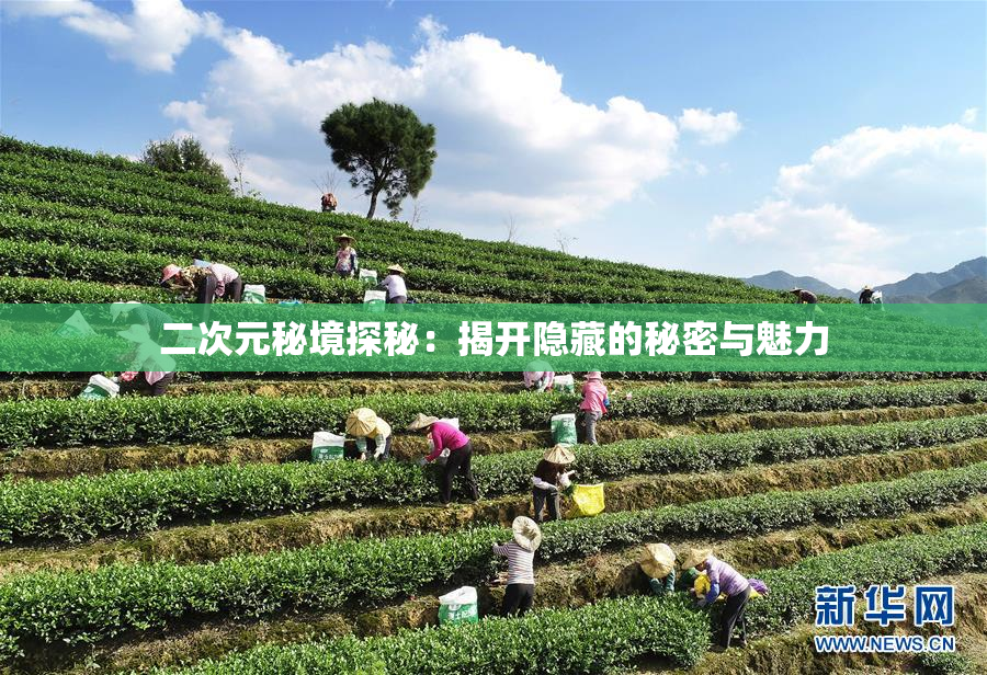 二次元秘境探秘：揭开隐藏的秘密与魅力