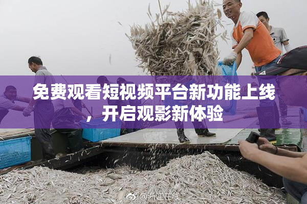 免费观看短视频平台新功能上线，开启观影新体验