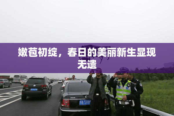 嫩苞初绽，春日的美丽新生显现无遗