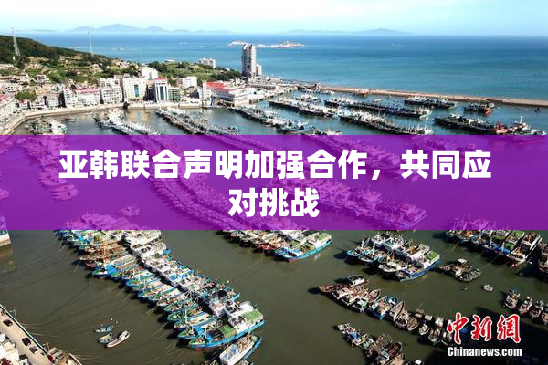 亚韩联合声明加强合作，共同应对挑战