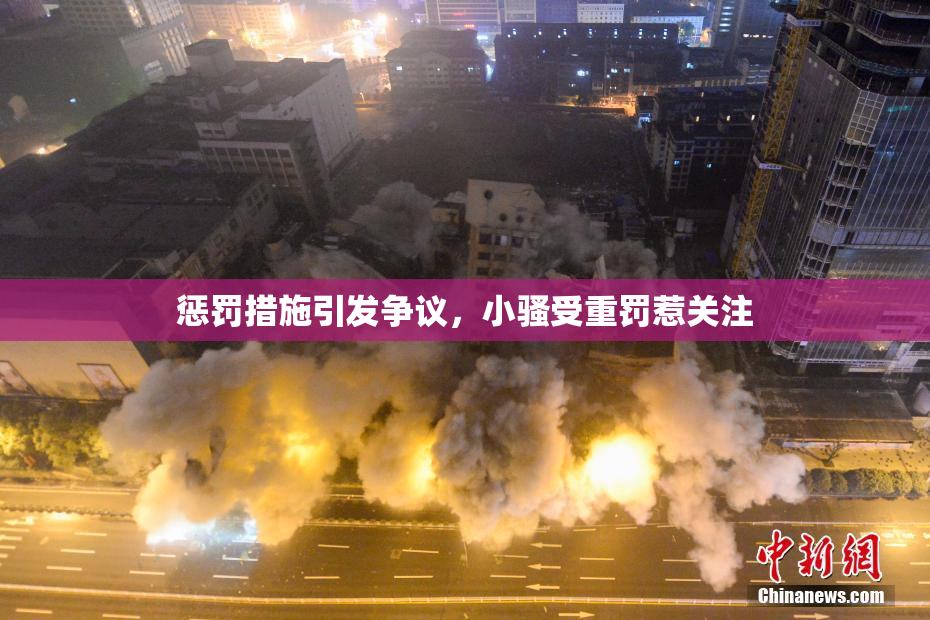 惩罚措施引发争议，小骚受重罚惹关注