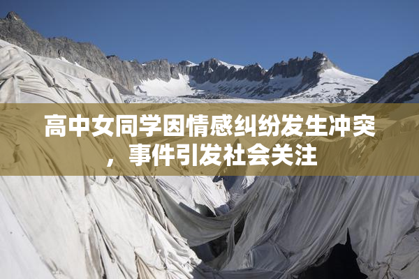 高中女同学因情感纠纷发生冲突，事件引发社会关注