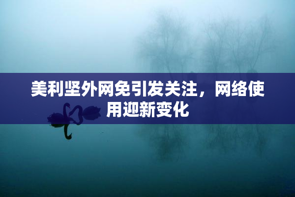 美利坚外网免引发关注，网络使用迎新变化