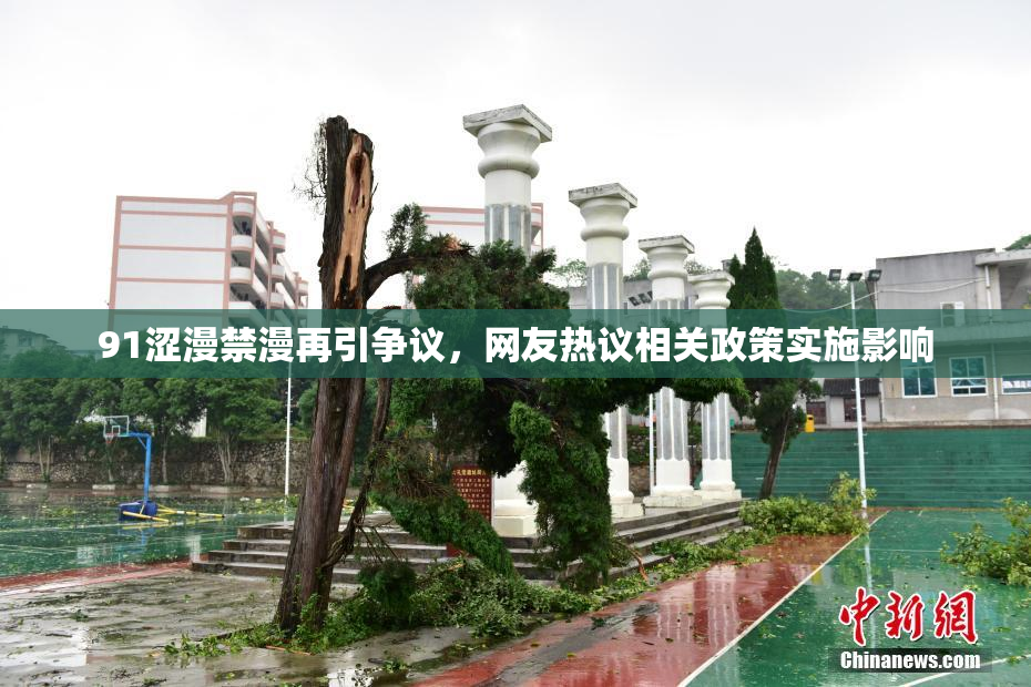 91涩漫禁漫再引争议，网友热议相关政策实施影响