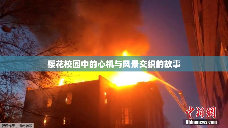 樱花校园中的心机与风景交织的故事