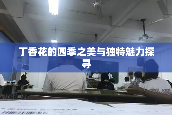丁香花的四季之美与独特魅力探寻
