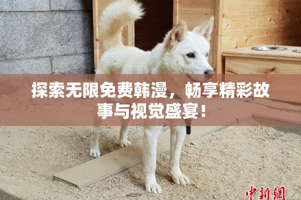 探索无限免费韩漫，畅享精彩故事与视觉盛宴！