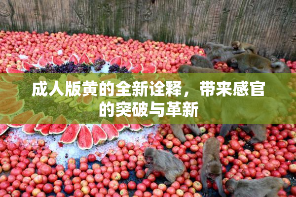 成人版黄的全新诠释，带来感官的突破与革新