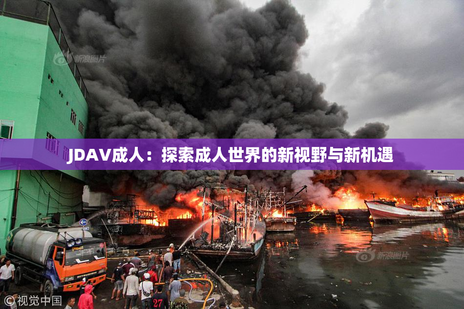 JDAV成人：探索成人世界的新视野与新机遇