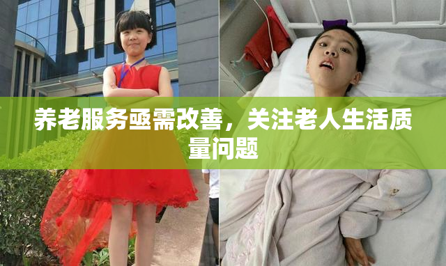 养老服务亟需改善，关注老人生活质量问题