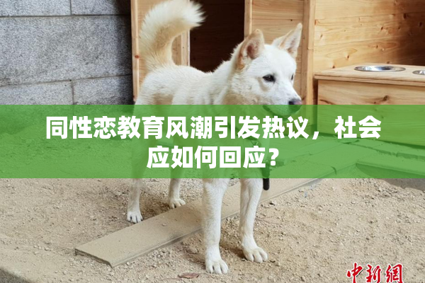 同性恋教育风潮引发热议，社会应如何回应？